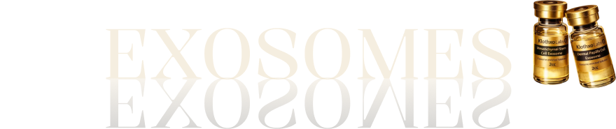 엑소좀 이미지
